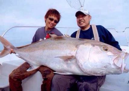 夢見釣到很多魚